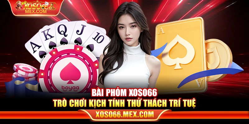 Bài phỏm Xoso66 – Trò chơi kịch tính thử thách trí tuệ