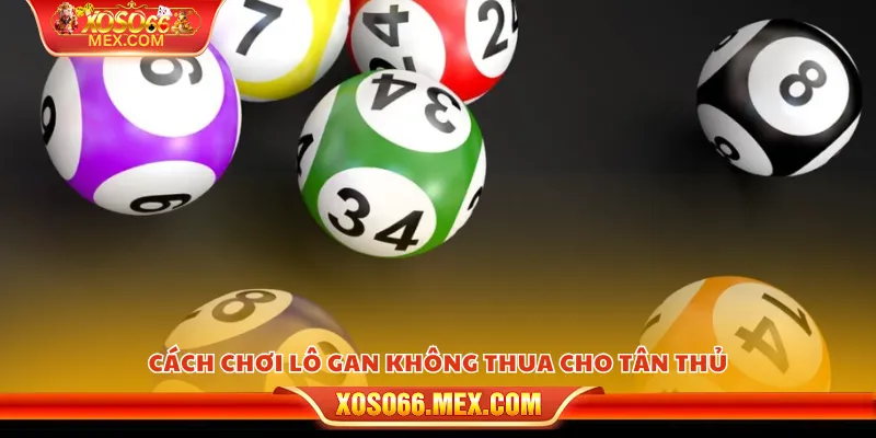 Cách chơi lô gan không thua cho tân thủ