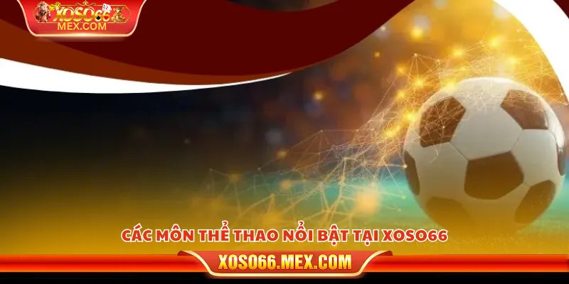 Các môn thể thao nổi bật tại xoso66