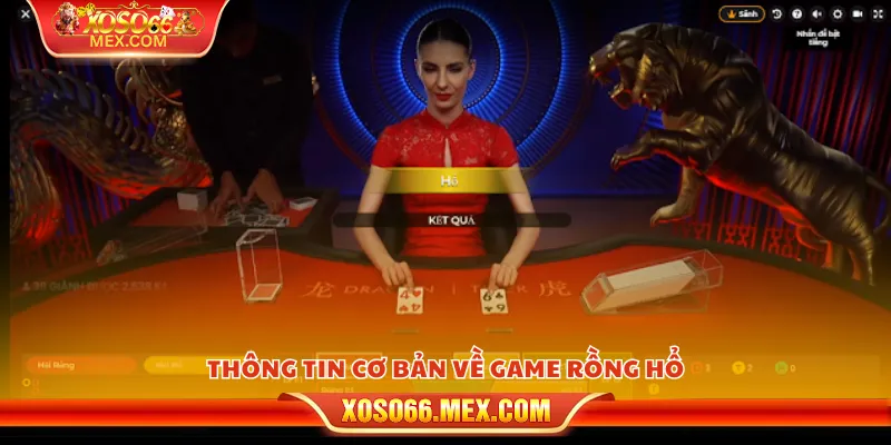 Cá cược rồng hổ – Trò chơi hấp dẫn và dễ thắng tại Xoso66 2 Thông tin cơ bản về game rồng hổ