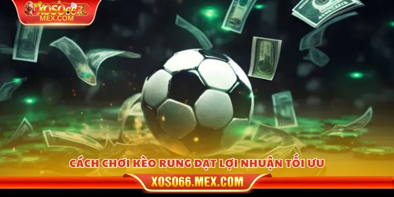 Cách chơi kèo rung - Bí quyết nắm bắt cơ hội trong từng phút 4 Cách chơi kèo rung đạt lợi nhuận tối ưu