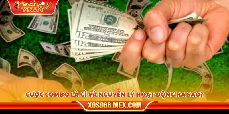 Cược combo là gì và nguyên lý hoạt động ra sao?