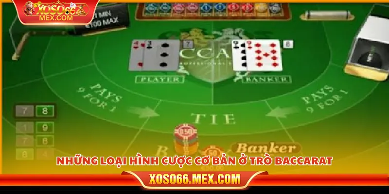 Những loại hình cược cơ bản ở trò baccarat