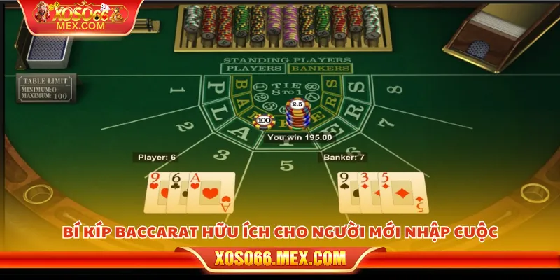 Bí kíp baccarat hữu ích cho người mới nhập cuộc