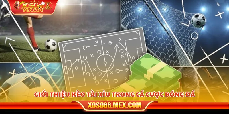 Mẹo bắt kèo tài xỉu – Những tuyệt chiêu ít ai chia sẻ 2 Giới thiệu kèo tài xỉu trong cá cược bóng đá