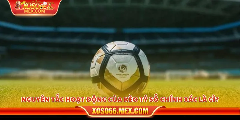 Nguyên tắc hoạt động của kèo tỷ số chính xác là gì?