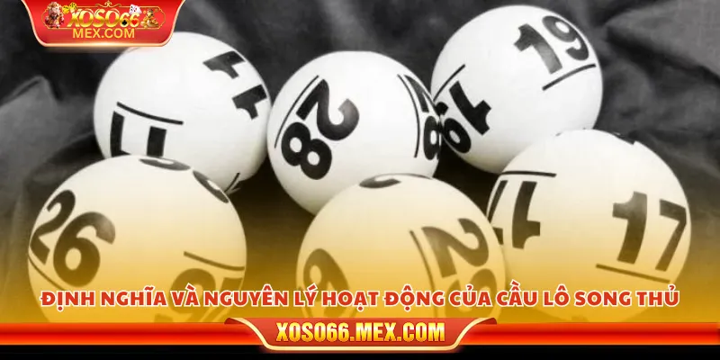 Định nghĩa và nguyên lý hoạt động của cầu lô song thủ