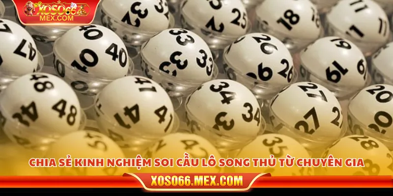 Chia sẻ kinh nghiệm soi cầu lô song thủ từ chuyên gia